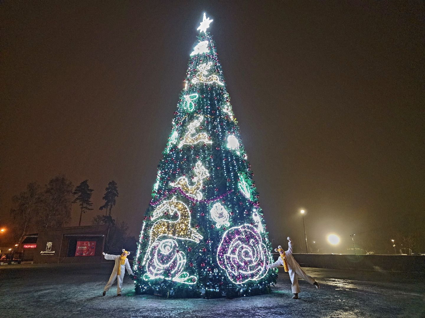 вертикалки, зимавподмосковье2024, ликино-дулево, орехово-зуевский округ, новогодняя ель в парке,дед мороз рекомендует,парки подмосковья,
