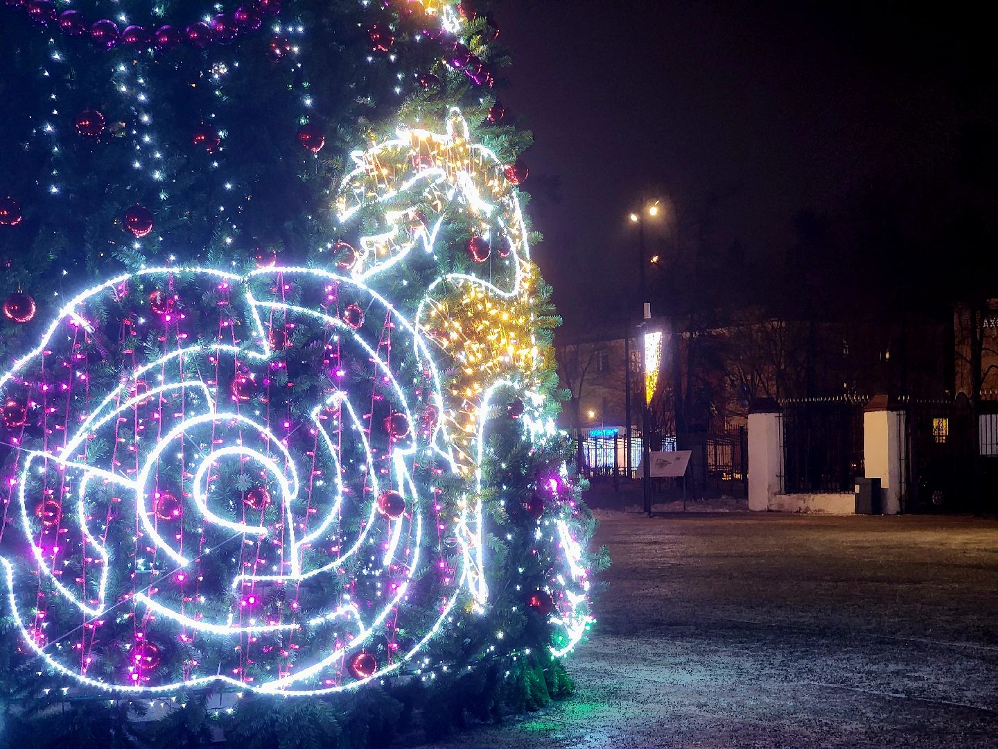 вертикалки, зимавподмосковье2024, ликино-дулево, орехово-зуевский округ, новогодняя ель в парке,дед мороз рекомендует,парки подмосковья,