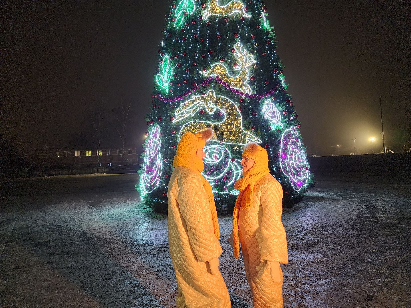 вертикалки, зимавподмосковье2024, ликино-дулево, орехово-зуевский округ, новогодняя ель в парке,дед мороз рекомендует,парки подмосковья,