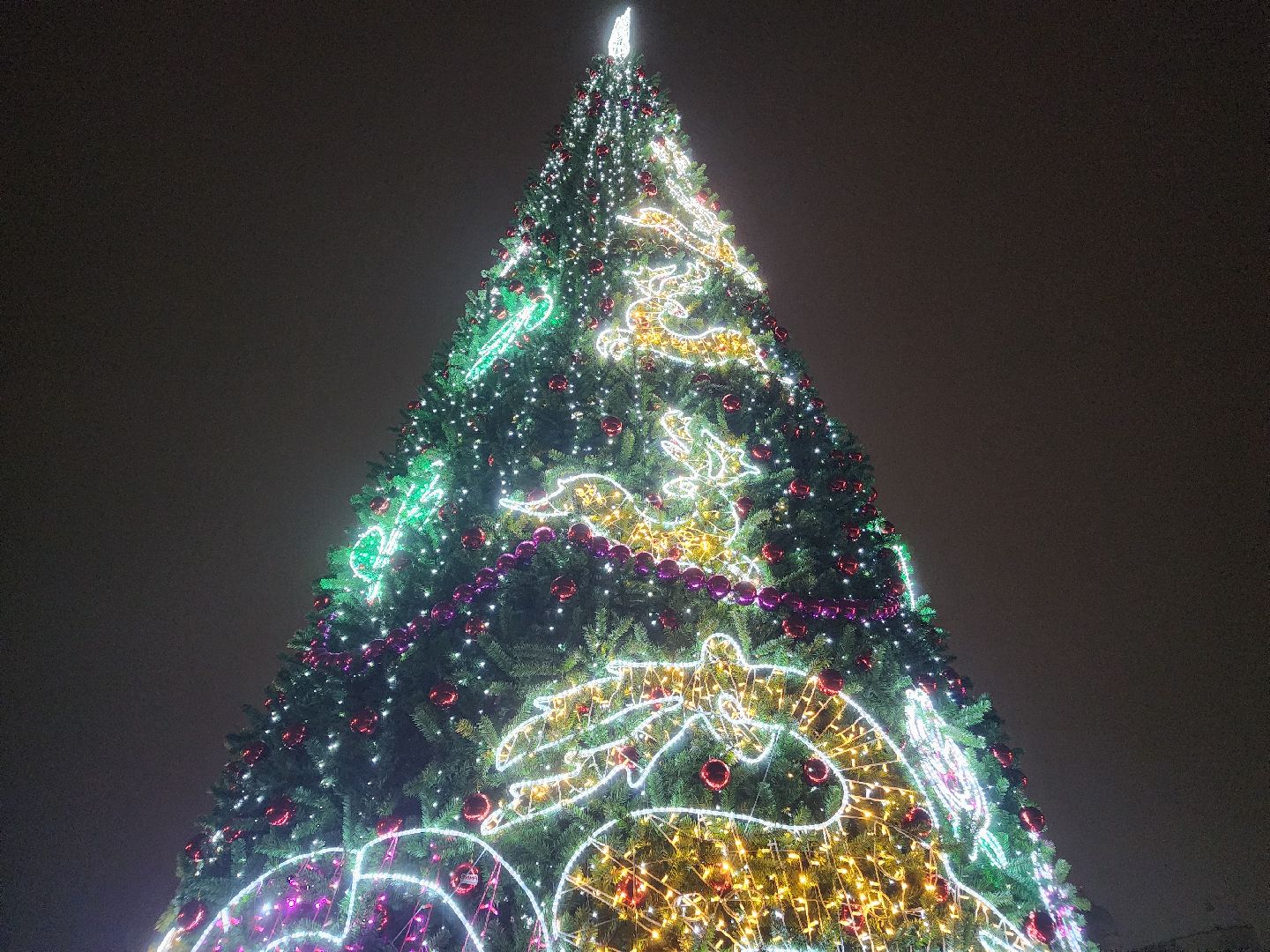 вертикалки, зимавподмосковье2024, ликино-дулево, орехово-зуевский округ, новогодняя ель в парке,дед мороз рекомендует,парки подмосковья,