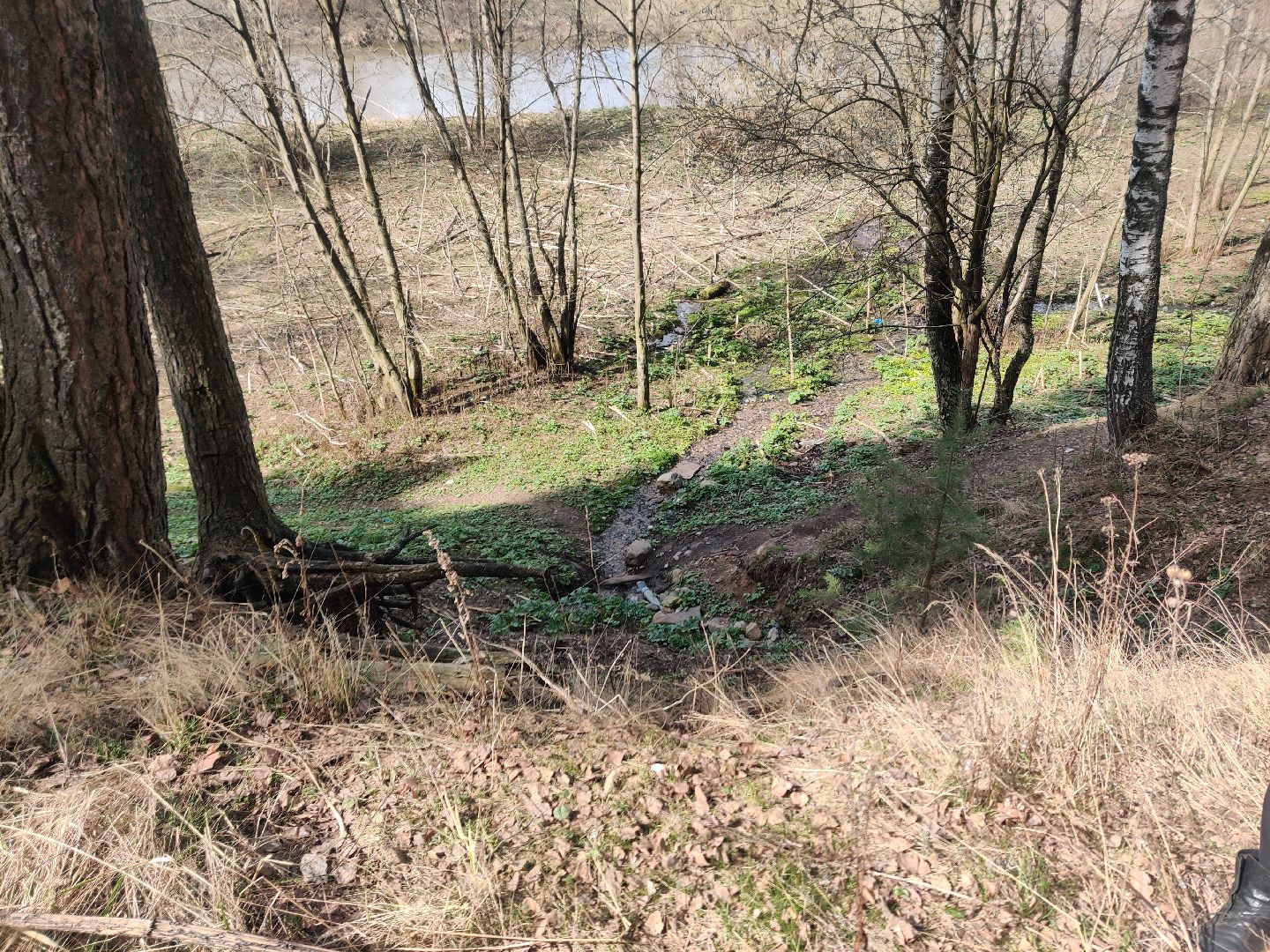 Красноармейск, Пушкинский, родник, благоустройство, Добродел