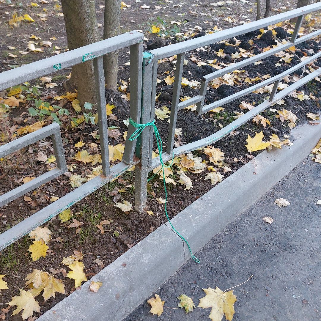 обращения жителей, выездная администрация, благоустройство территорий, власиха благоустройство, Власиха Солнечный,