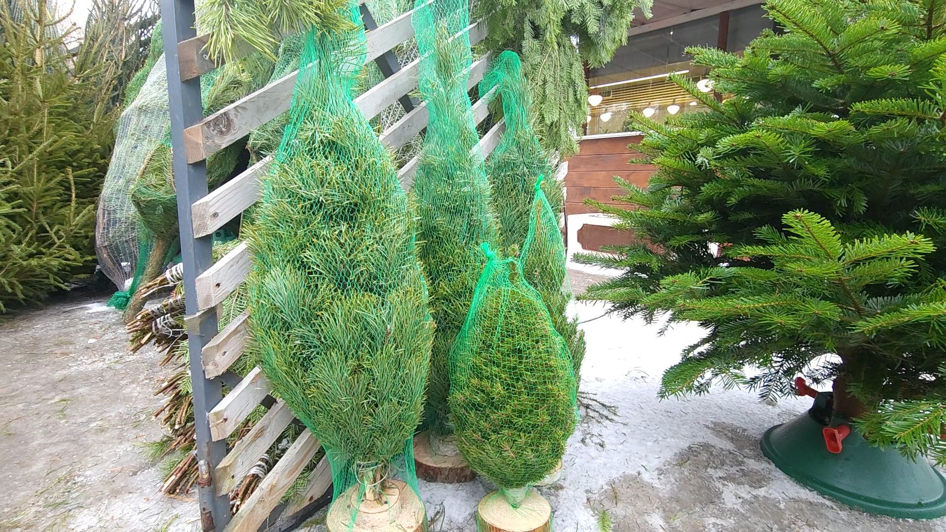 Одинцово, новый год, елки, вертикалки,