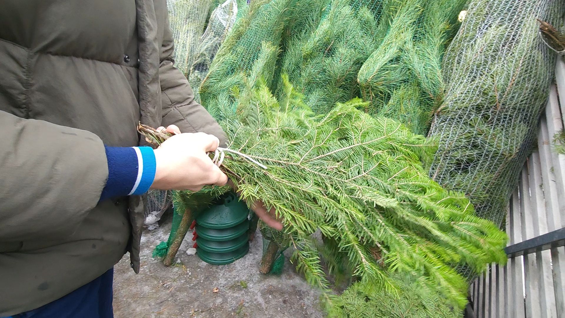 Одинцово, новый год, елки, вертикалки,