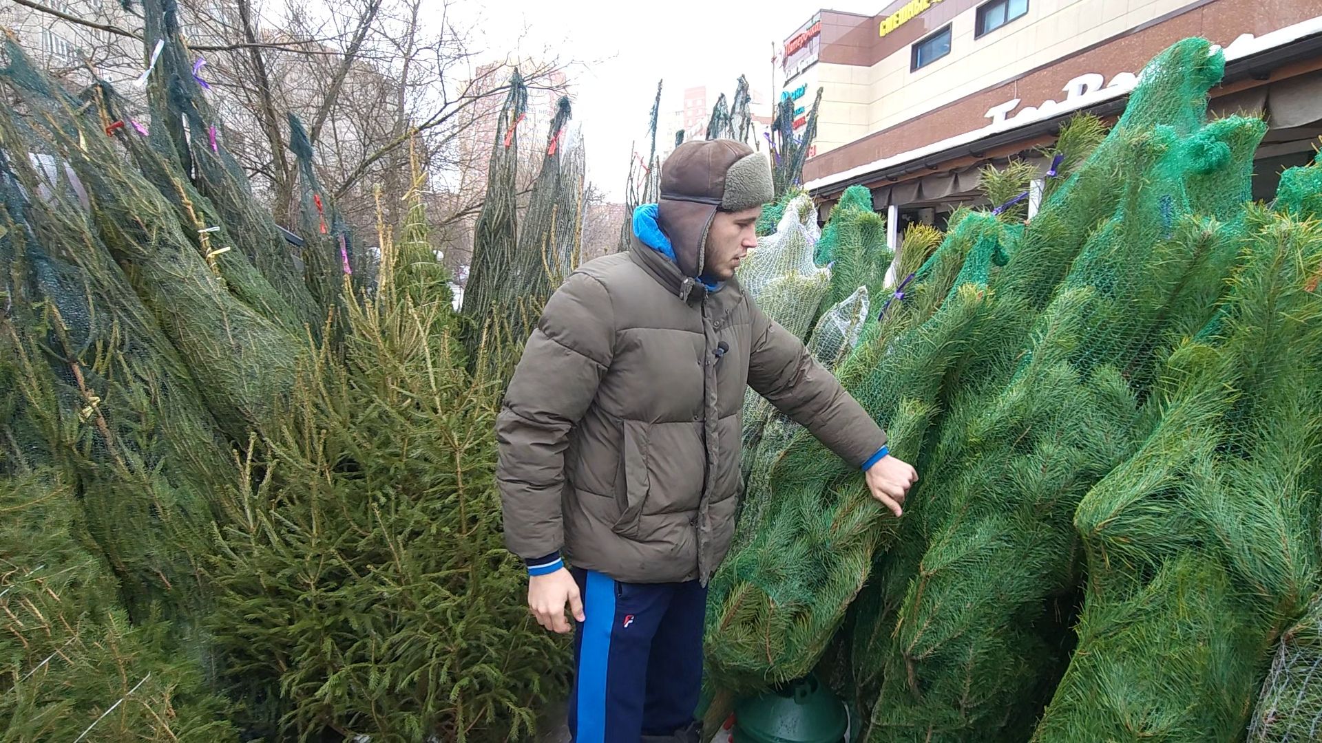 Одинцово, новый год, елки, вертикалки,