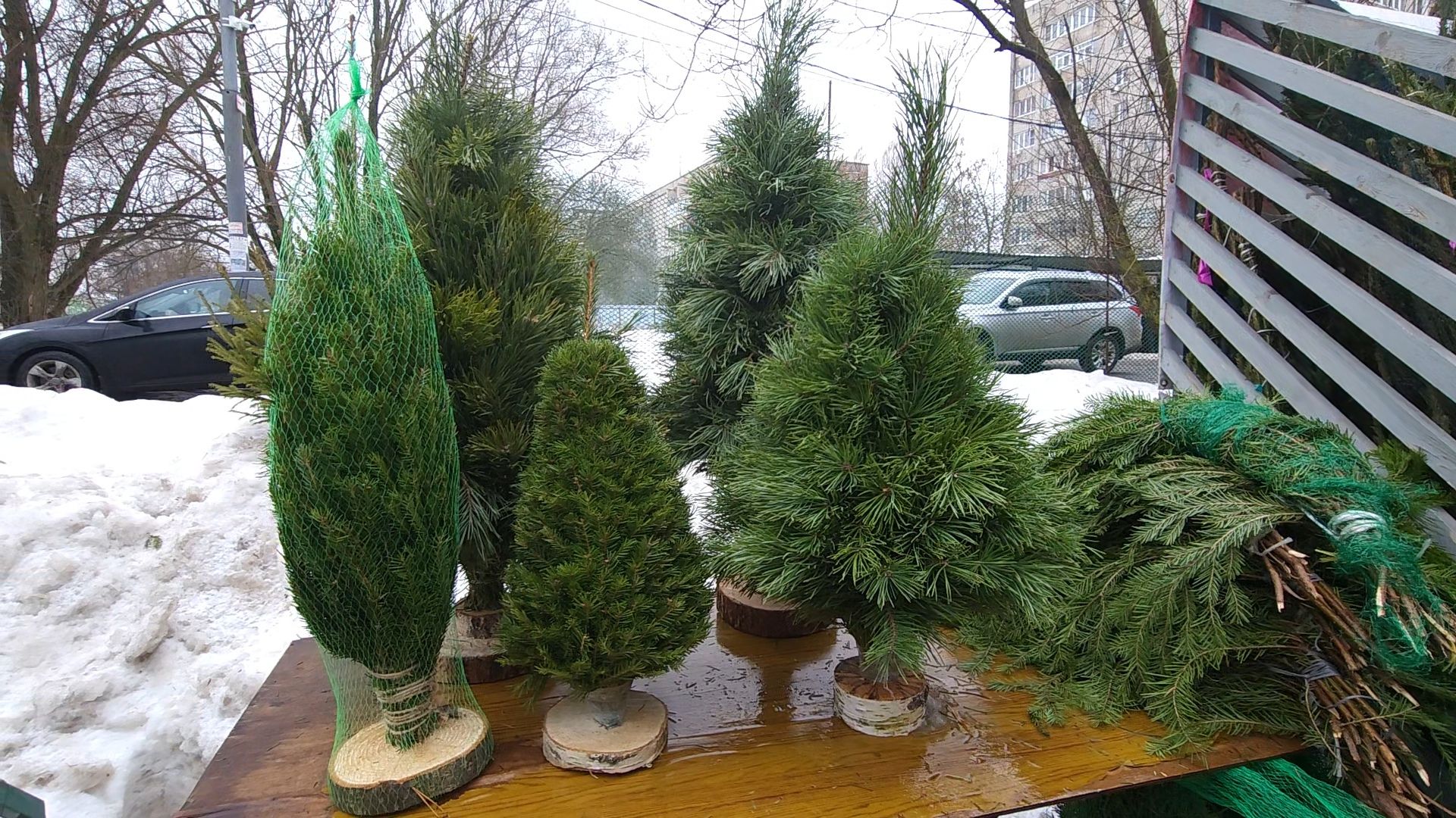 Одинцово, новый год, елки, вертикалки,