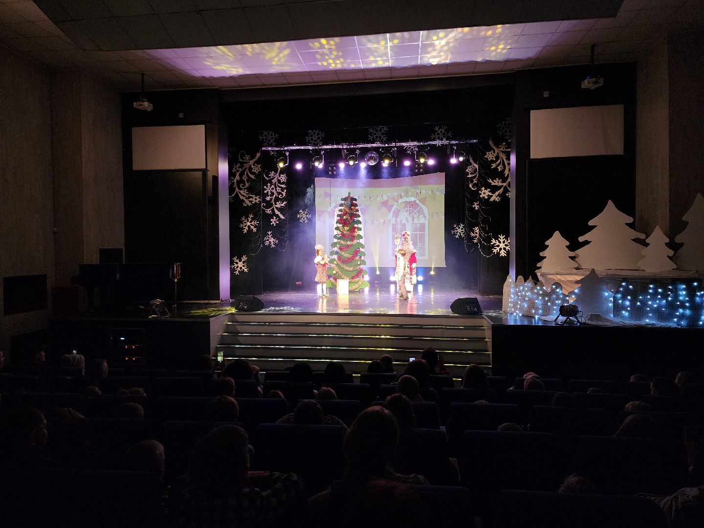 Спектакль, Новый год, Руза, зима в подмосковье, зима в рузе, культура, Праздник, вертикалки,