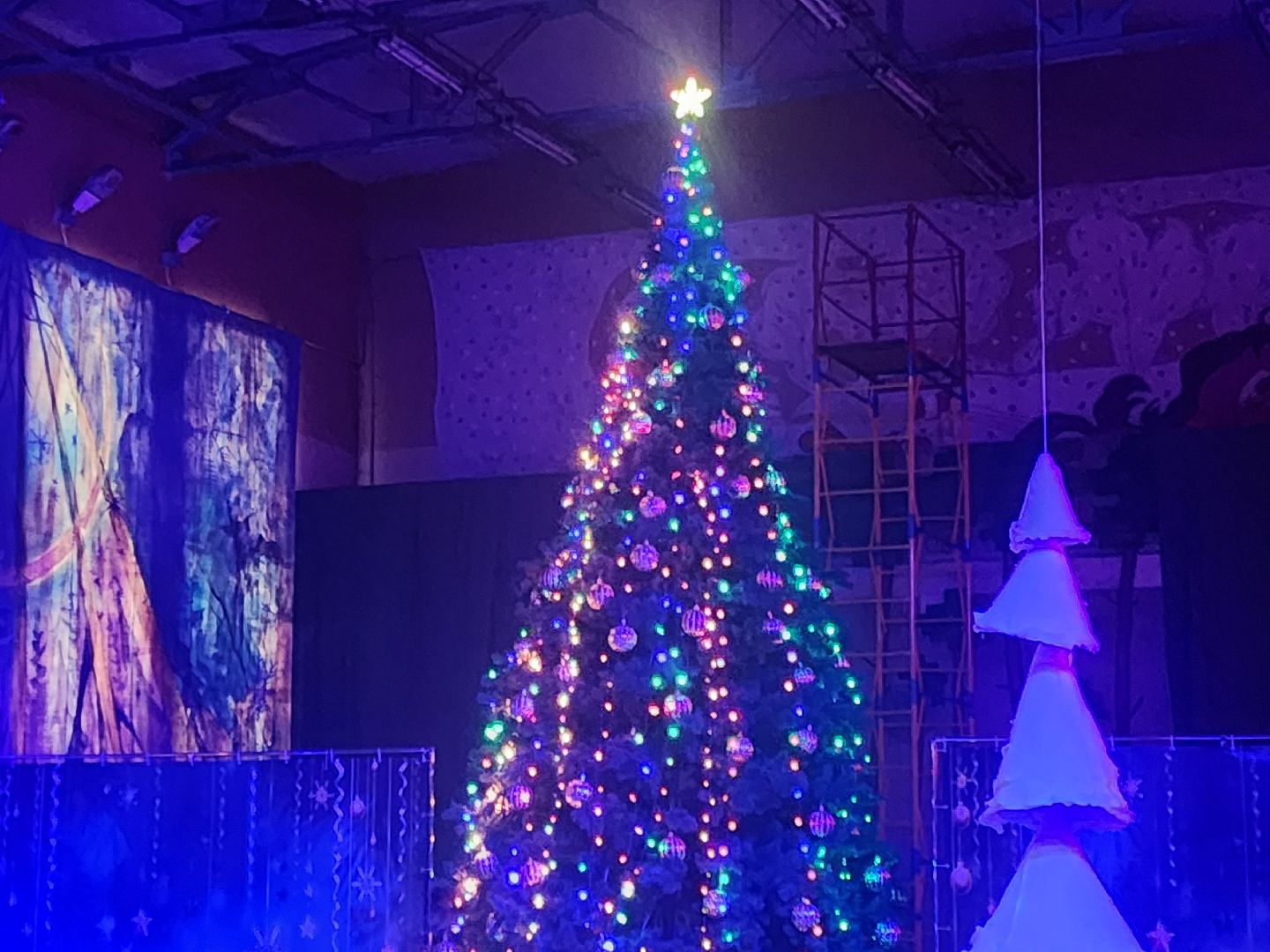 ногинск, социальная елка, елка главы округа, богородский городской округ, праздник, новый год, новогодняя елка,