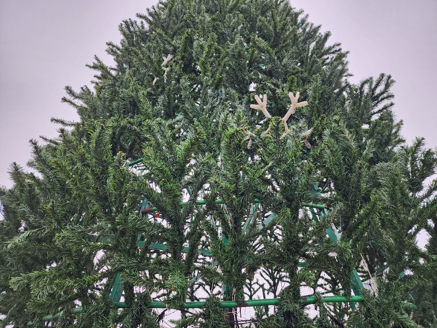 вертикалки, королёв,