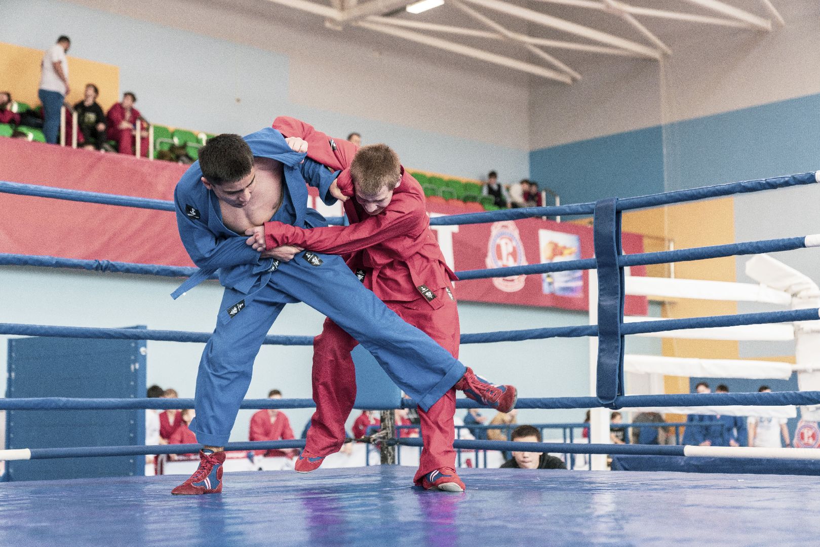 Спорт, турнир, Домодедово