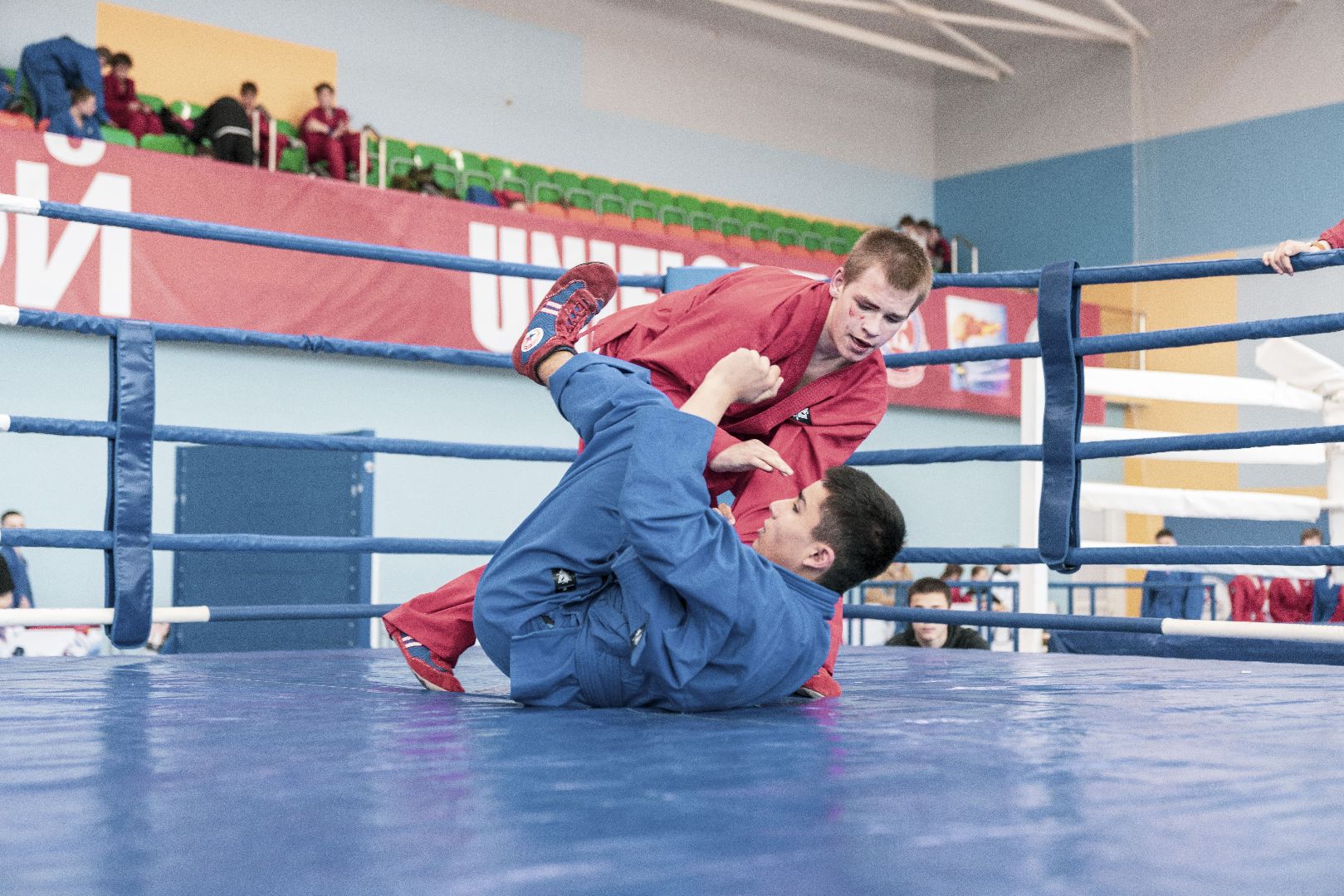 Спорт, турнир, Домодедово