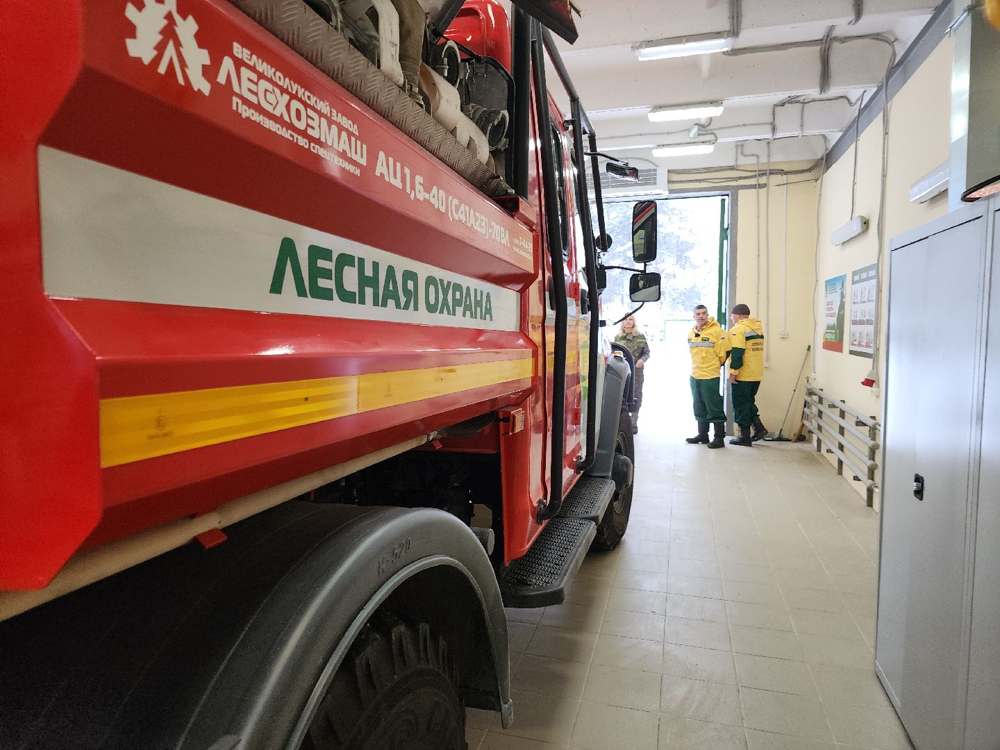 вертикалки, лесопожарная станция, орехово-зуевский округ, Леса Подмосковья,