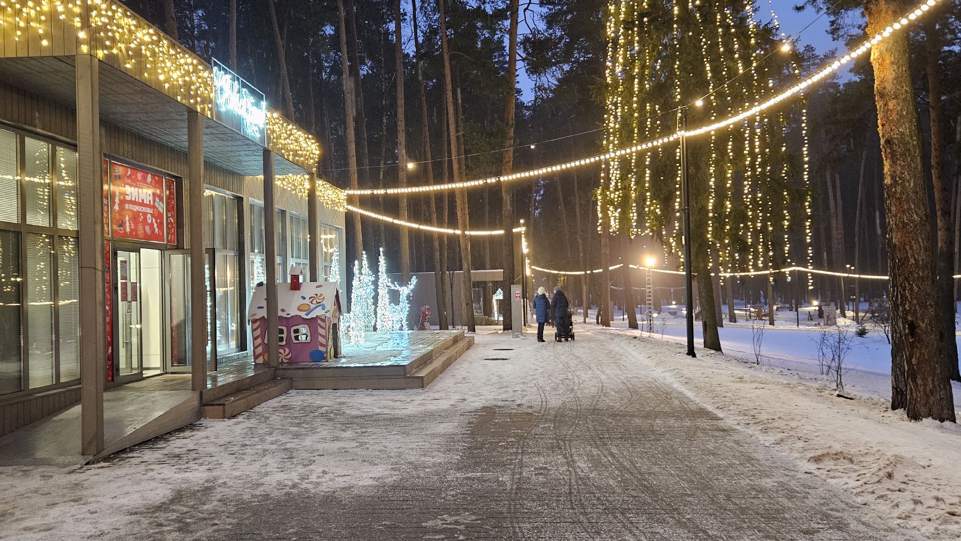 новый год, парк