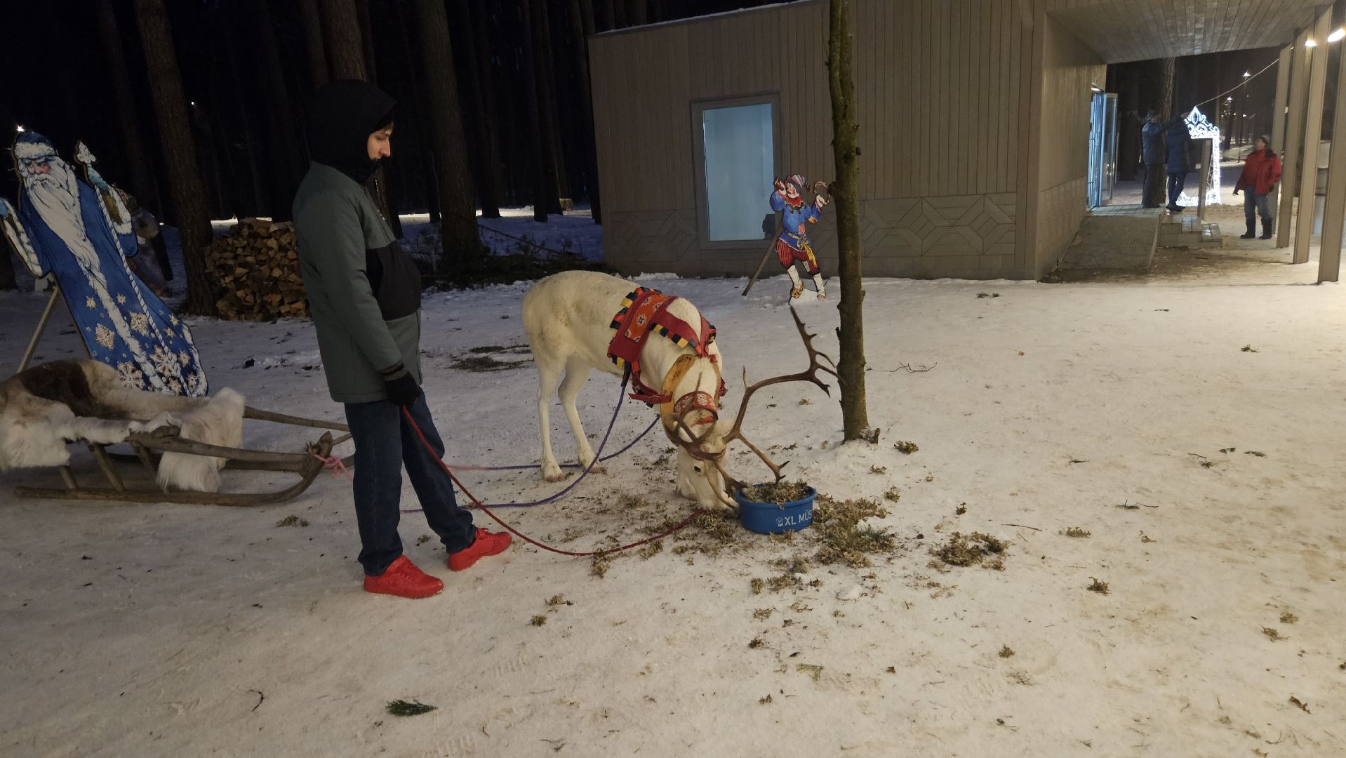 новый год, парк