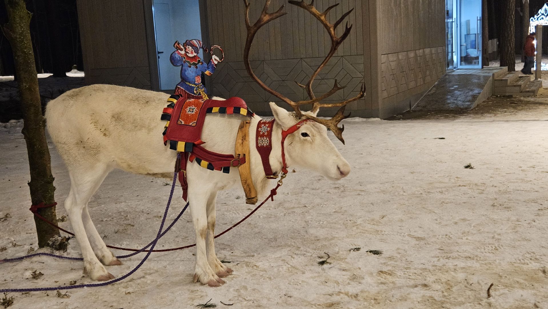 новый год, парк