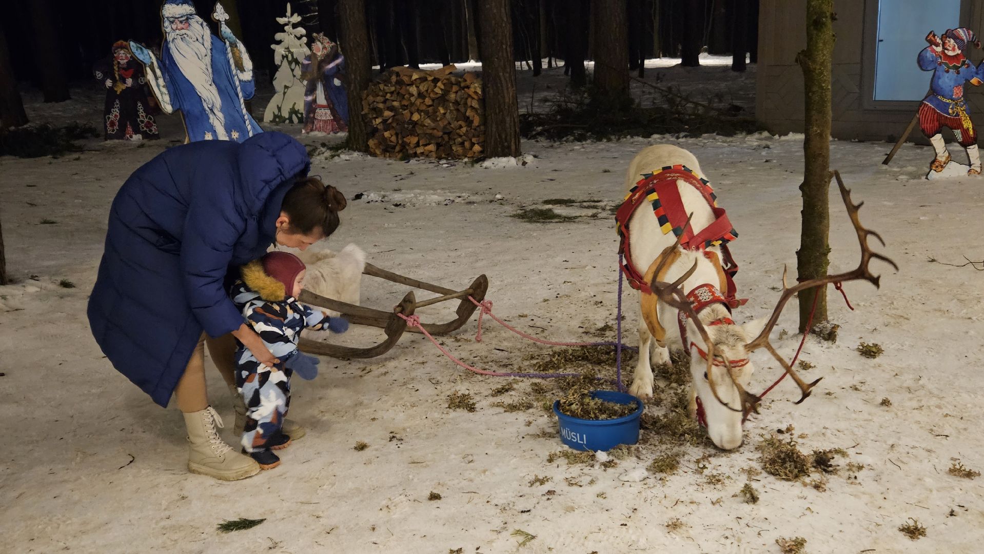 новый год, парк