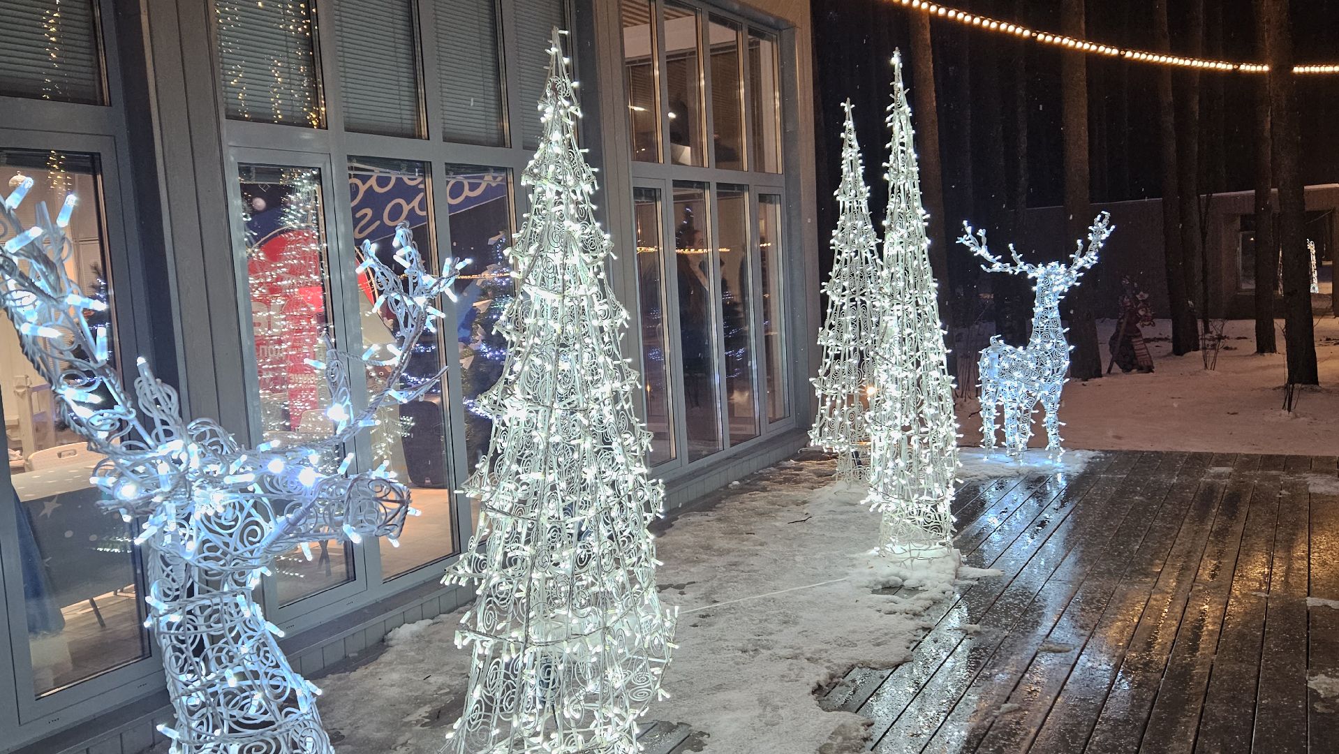 новый год, парк