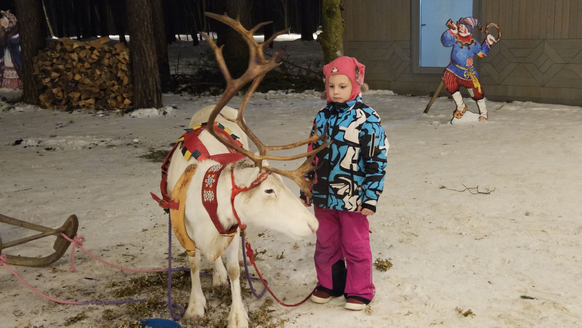 новый год, парк