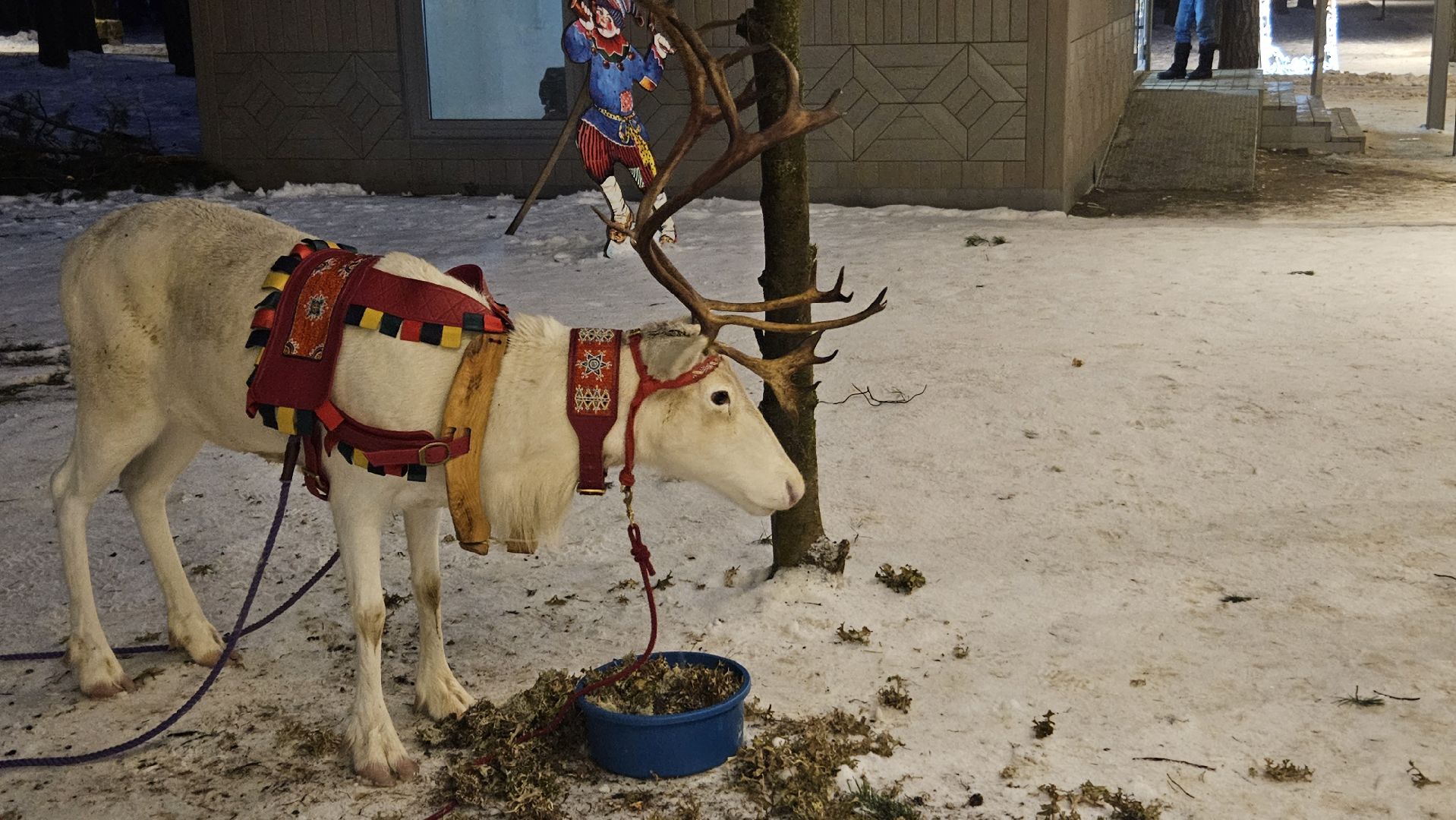 новый год, парк