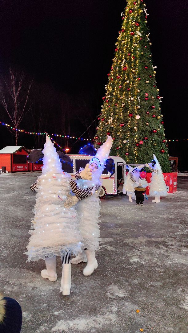 парк, спектакль, Зима в Подмосковье, Автобус чудес, конкурс,