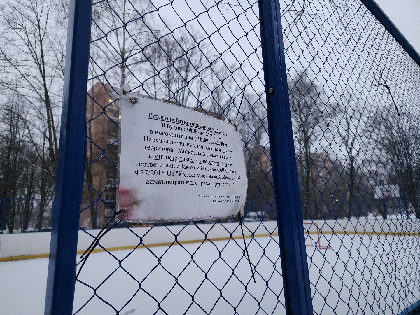Черноголовка, Уличные катки, Каток в Черноголовке,