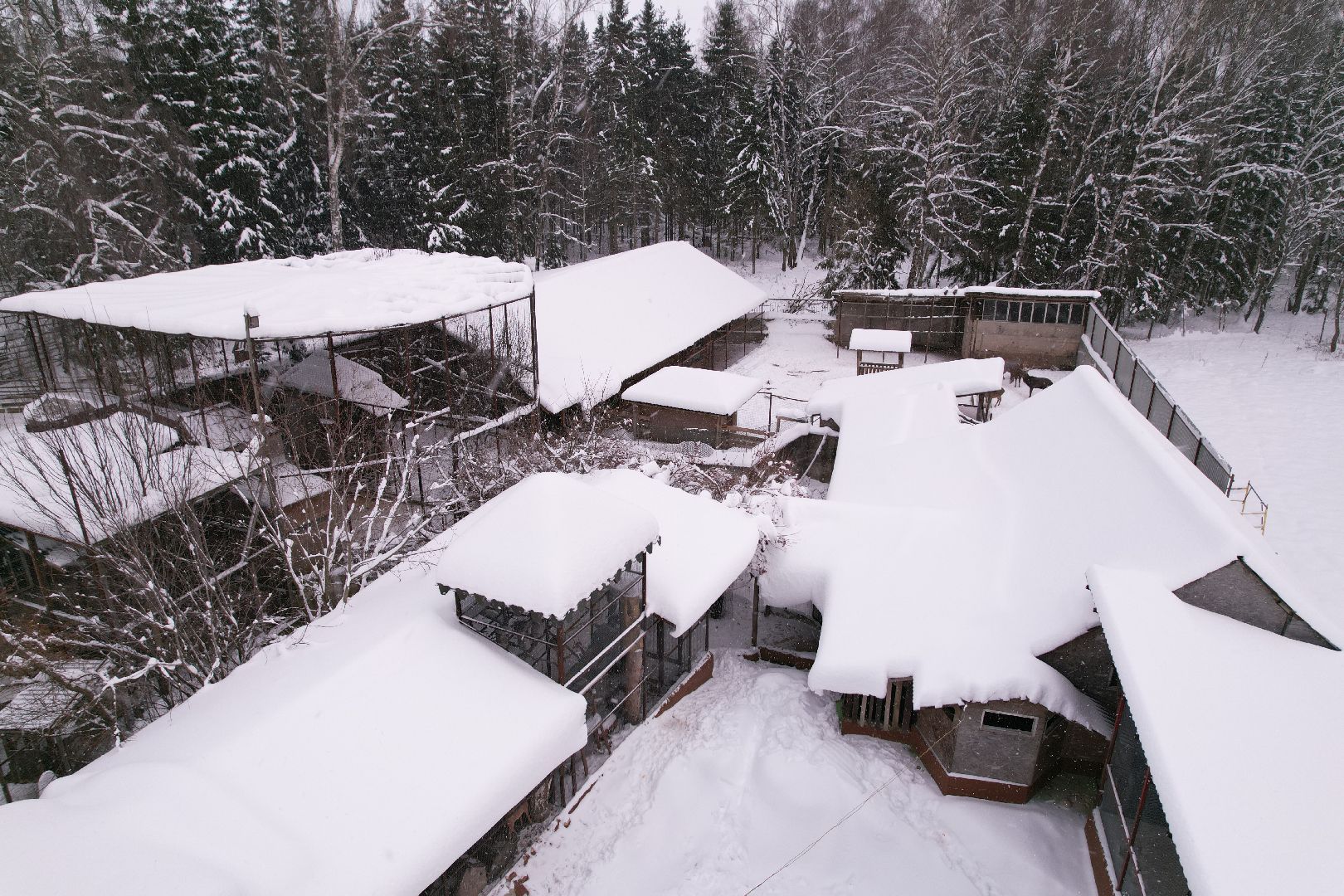 видео с коптера, руза, ферма, туризм, экотуризм,