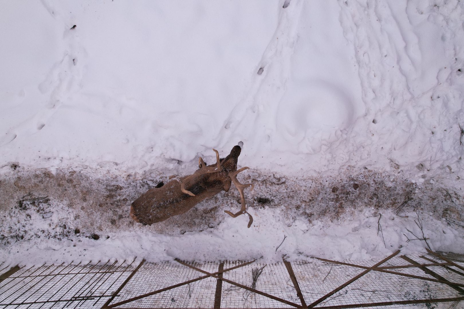 видео с коптера, руза, ферма, туризм, экотуризм,