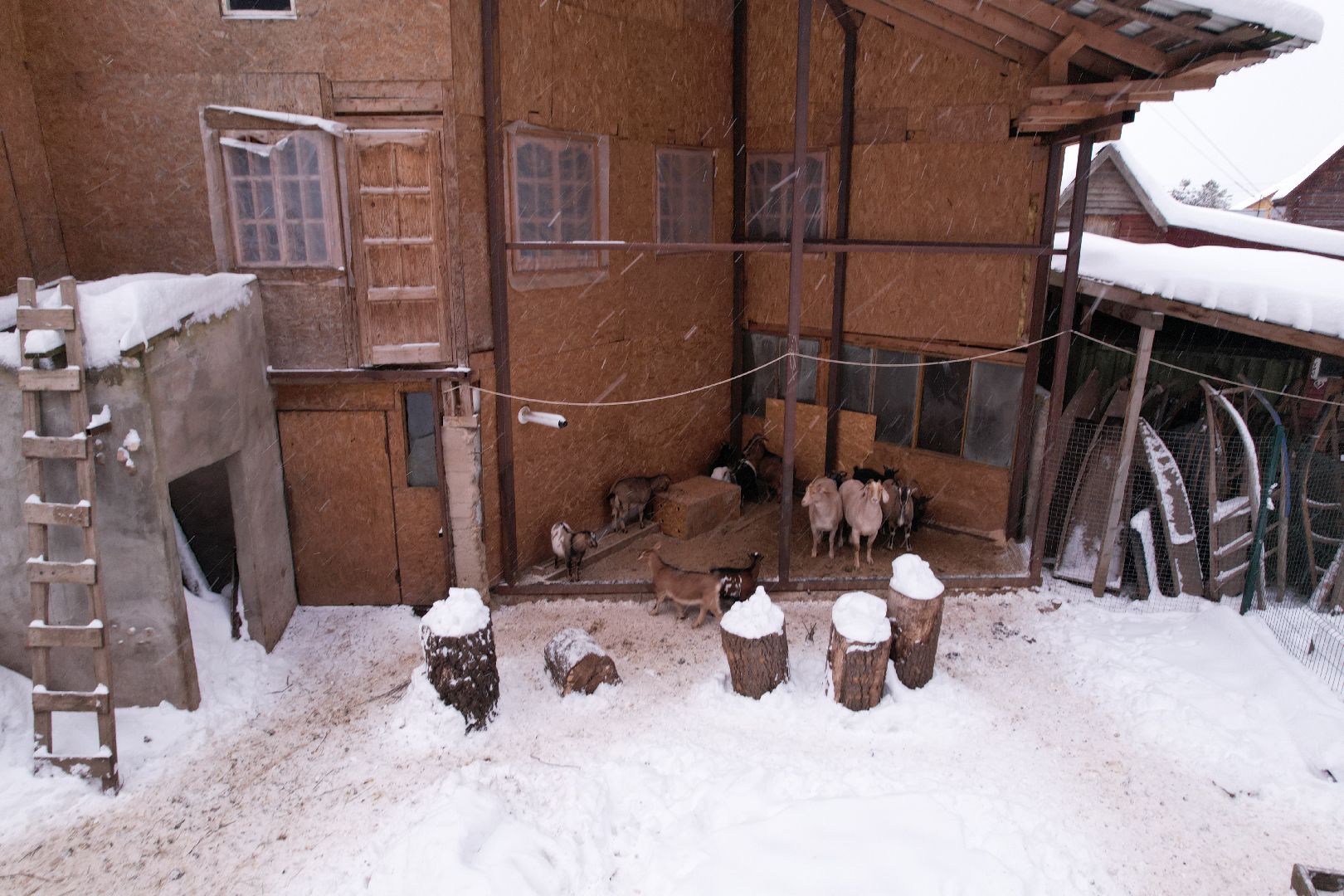 видео с коптера, руза, ферма, туризм, экотуризм,