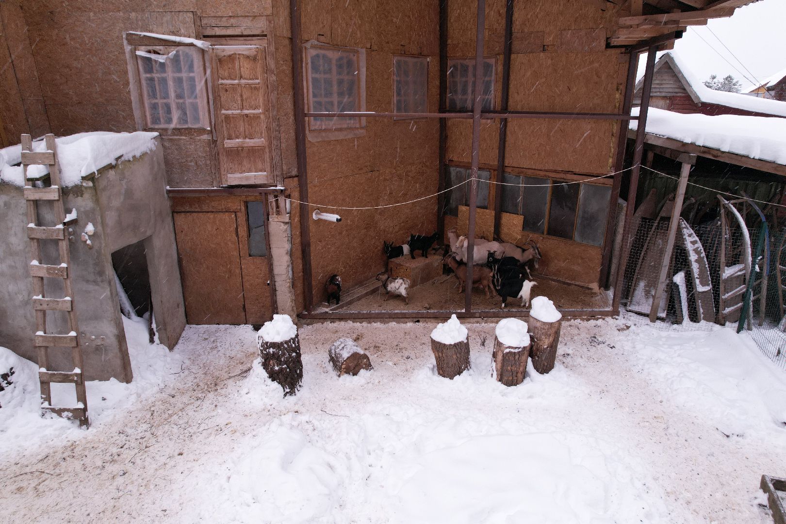 видео с коптера, руза, ферма, туризм, экотуризм,