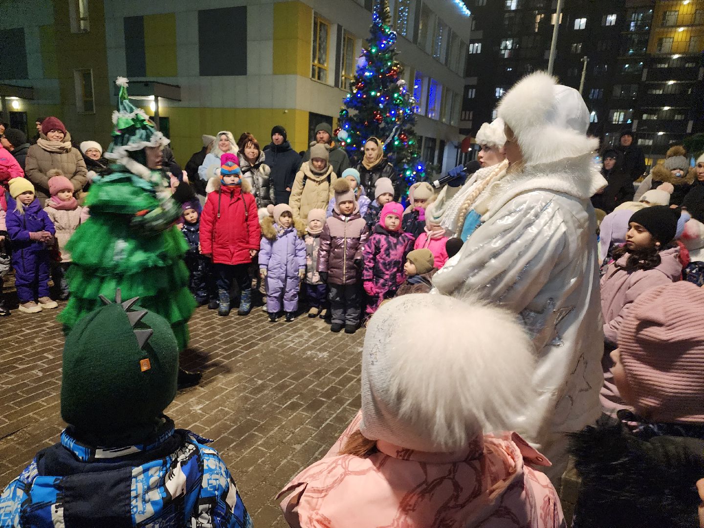 долгопрудный, новый 2025 год, праздники во дворах, дед мороз и снегурочка, бригантина, театр «город», Елочка, вертикалки,
