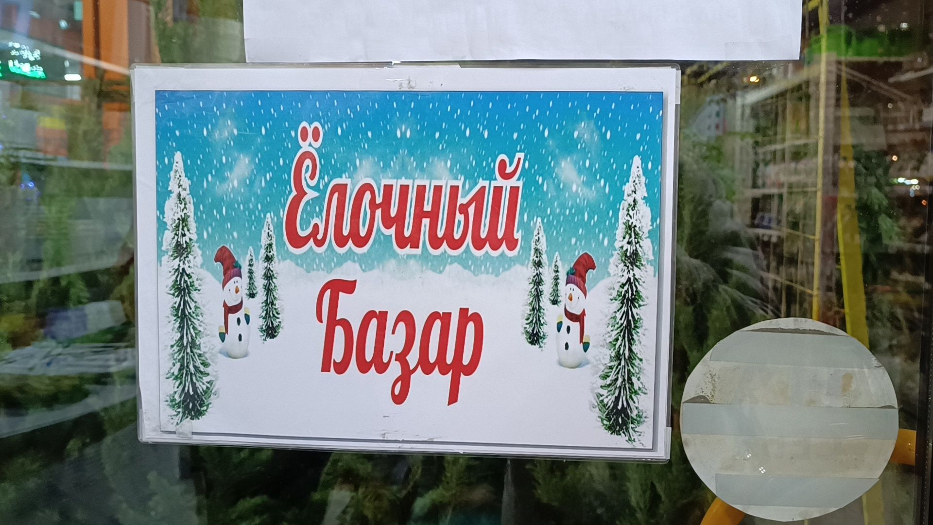 елочный базар, новый год, лобня, вертикалки,