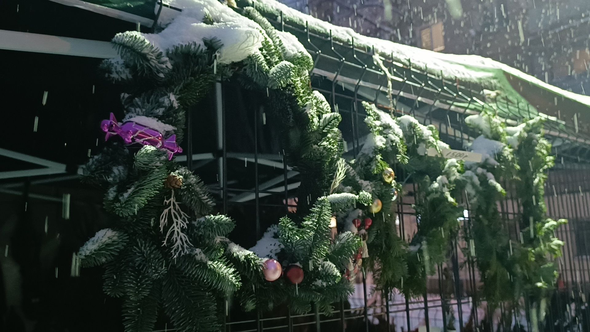 елочный базар, новый год, лобня, вертикалки,