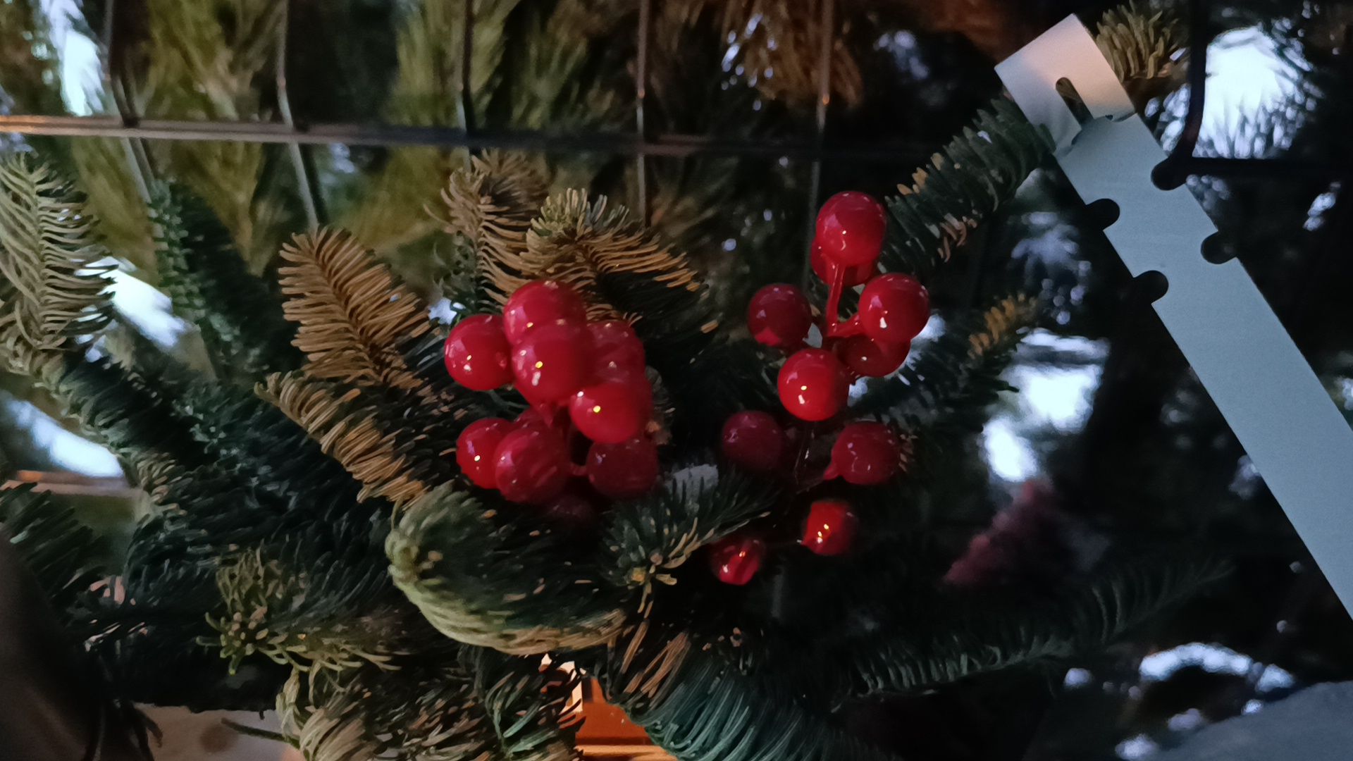 елочный базар, новый год, лобня, вертикалки,