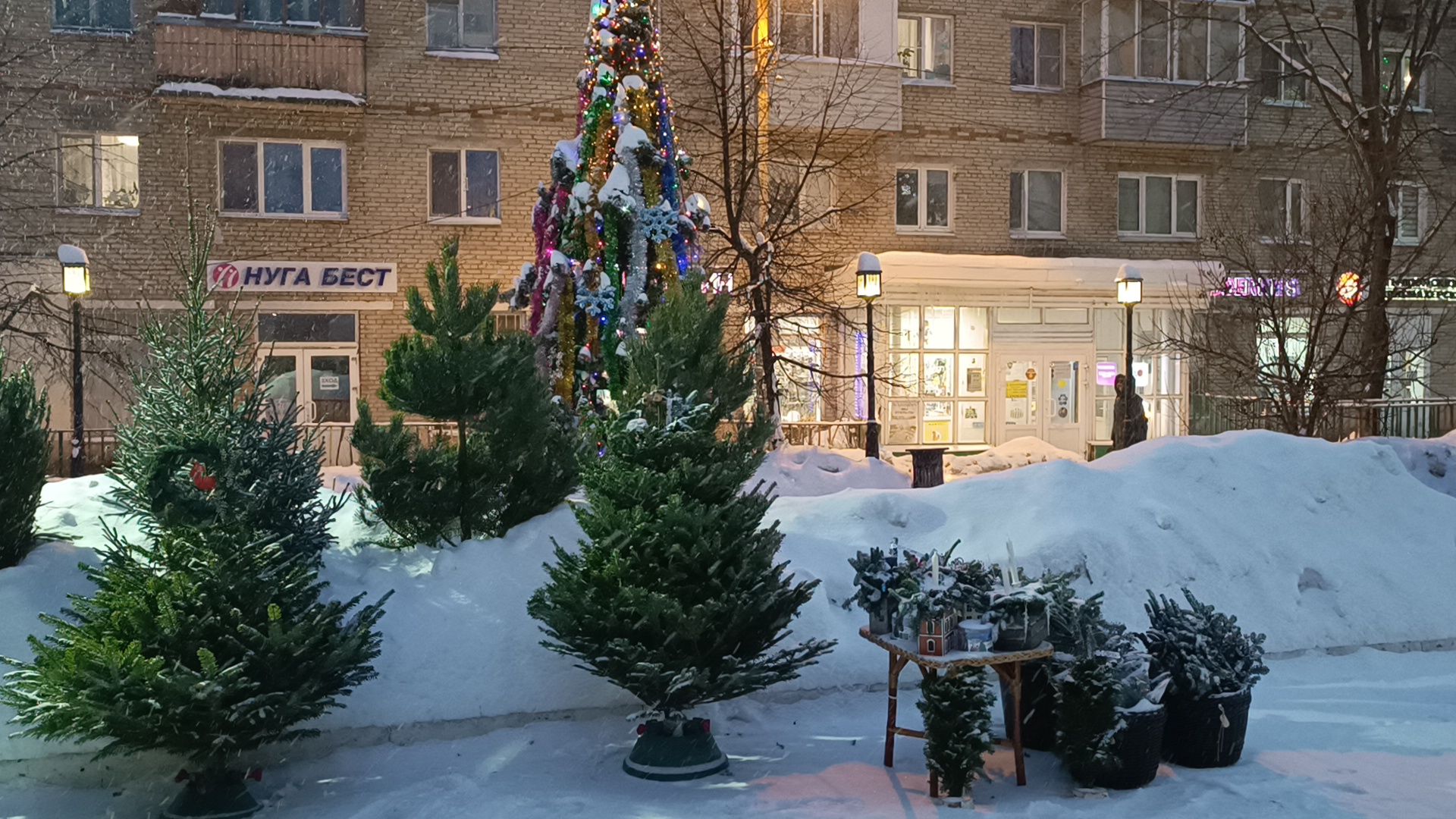 елочный базар, новый год, лобня, вертикалки,