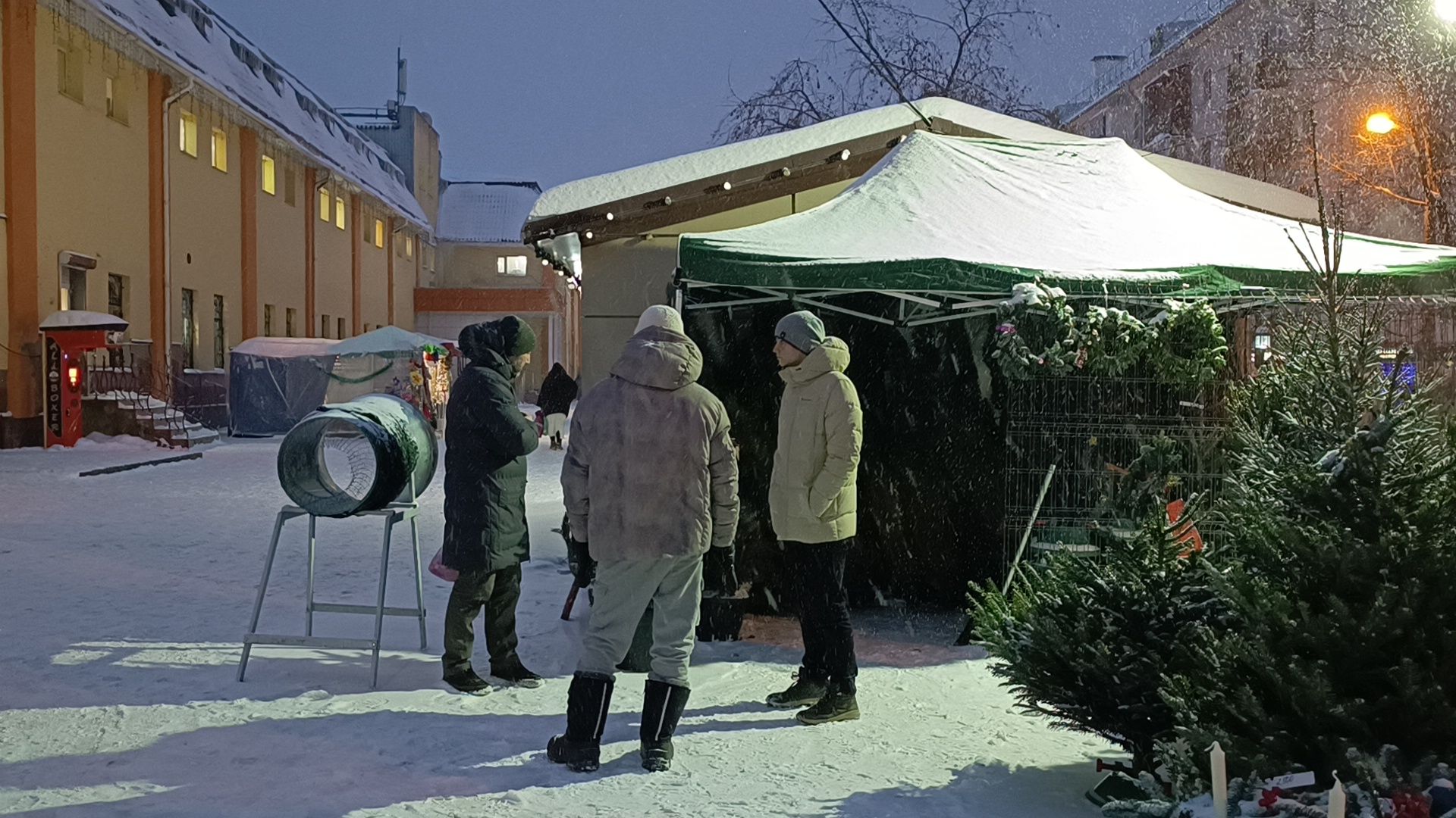 елочный базар, новый год, лобня, вертикалки,