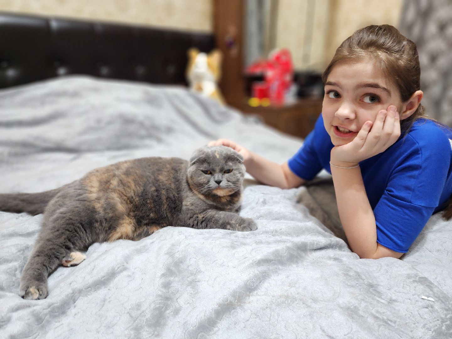 серпухов, елка желаний, новый год, дед мороз, депутат,