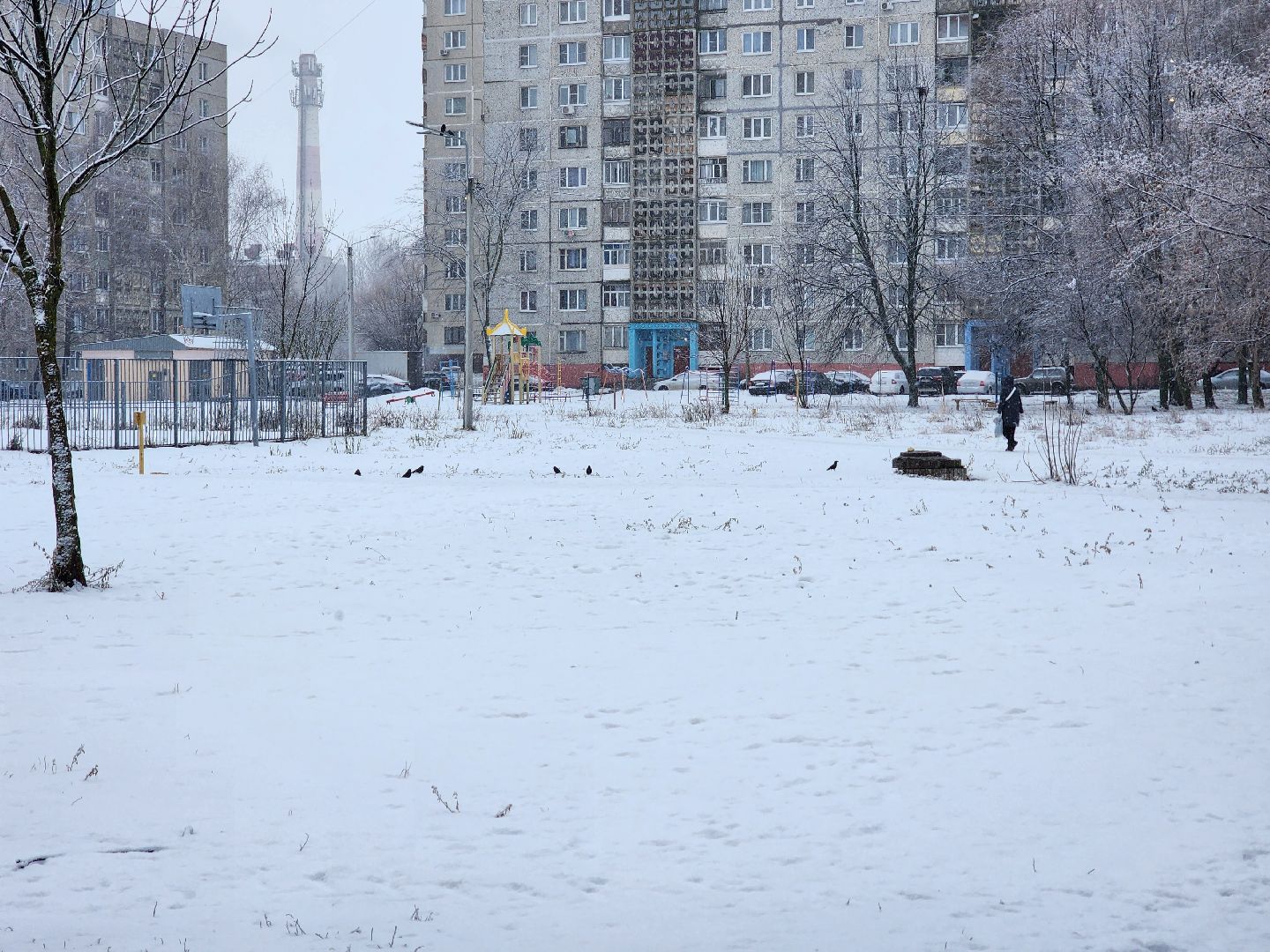 воскресенск, фейерверки, безопасность, новый год,