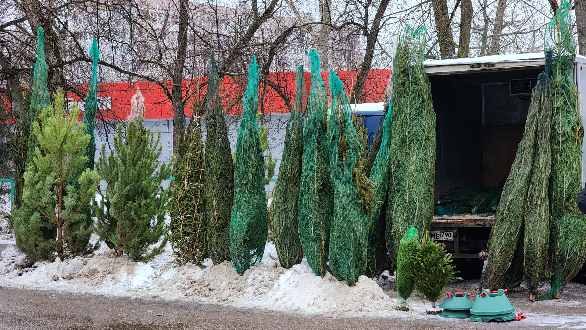Новый год, новогодняя елка, праздник, Зима в Подмосковье, елочные базары, Лосино-Петровский,