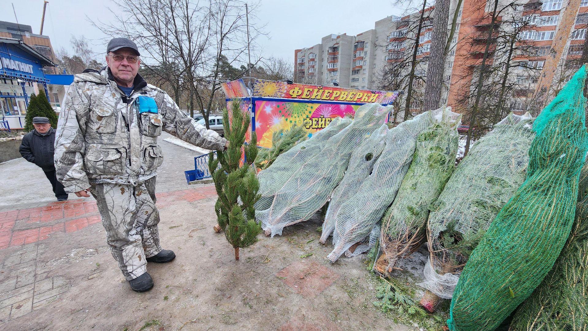 протвино, елочный базар, новый год, елки, г о серпухов,