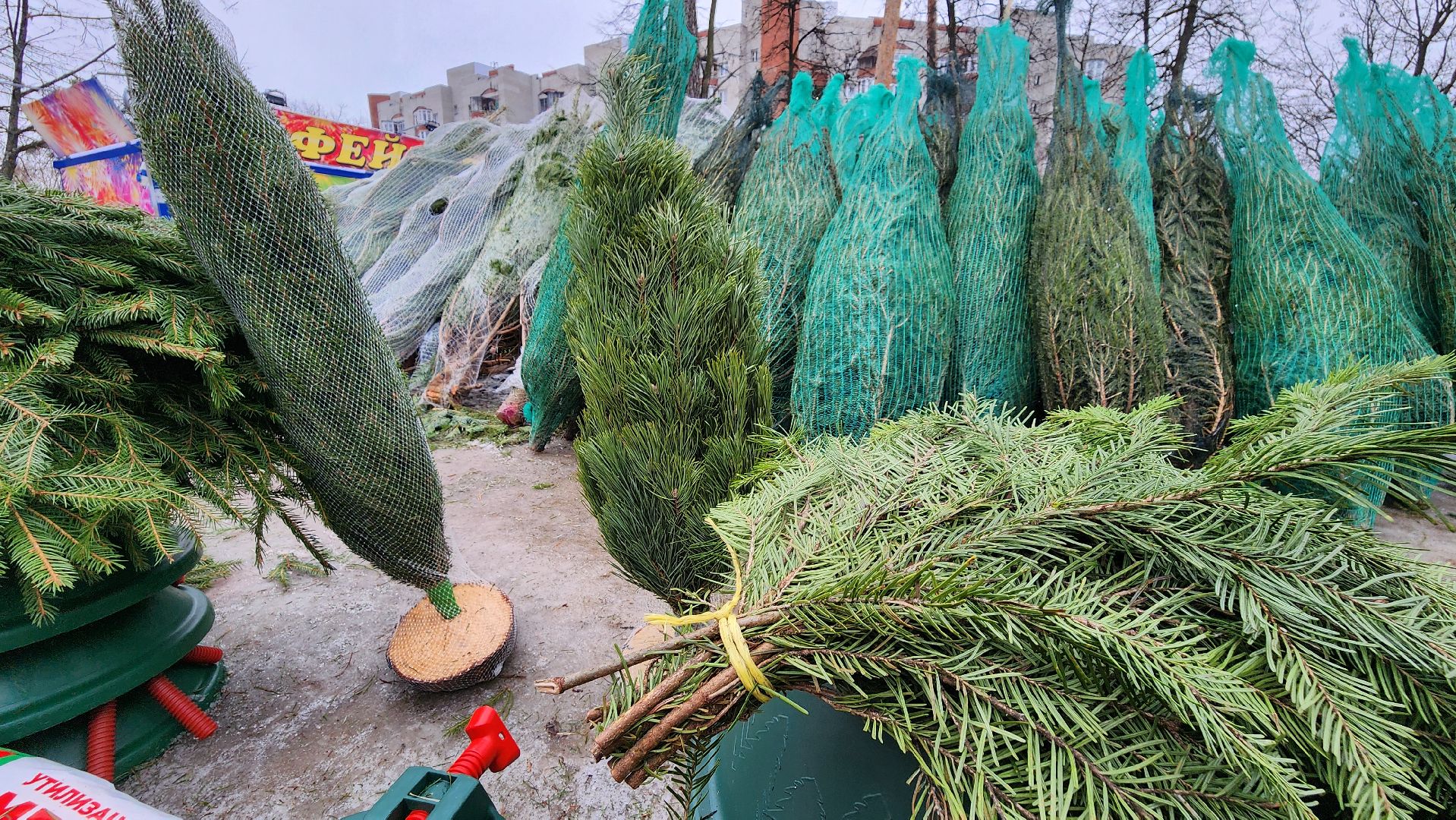 протвино, елочный базар, новый год, елки, г о серпухов,