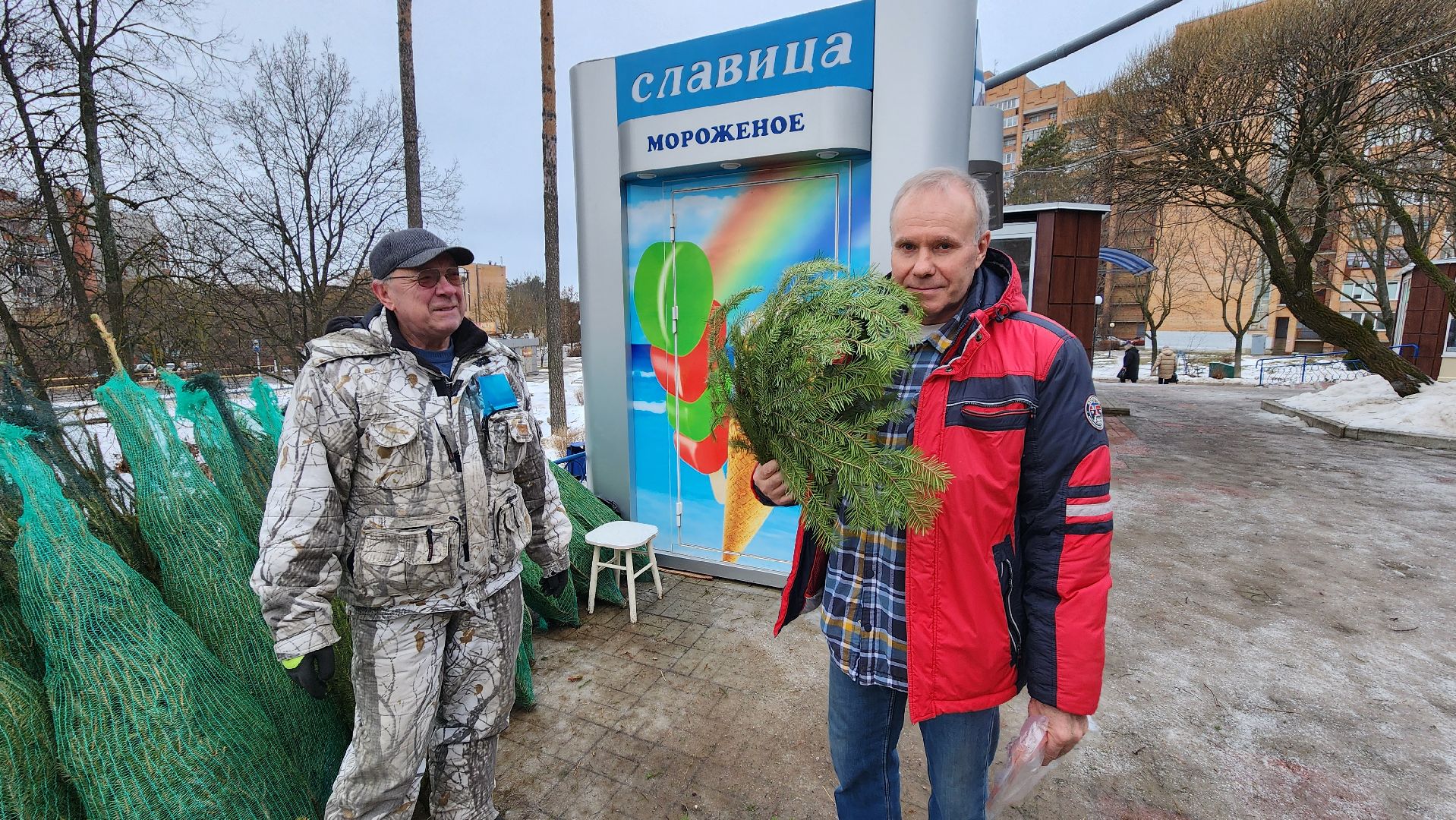 протвино, елочный базар, новый год, елки, г о серпухов,