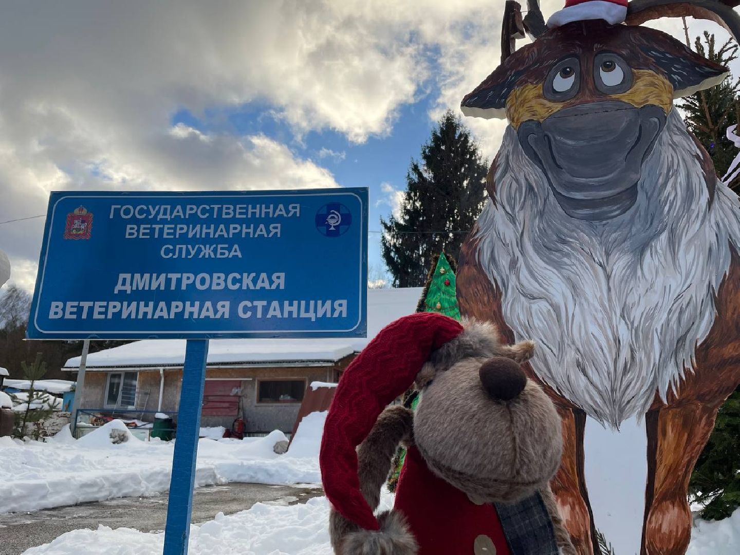 Дмитров, Госветстанция, Минсельхоз, вертикали