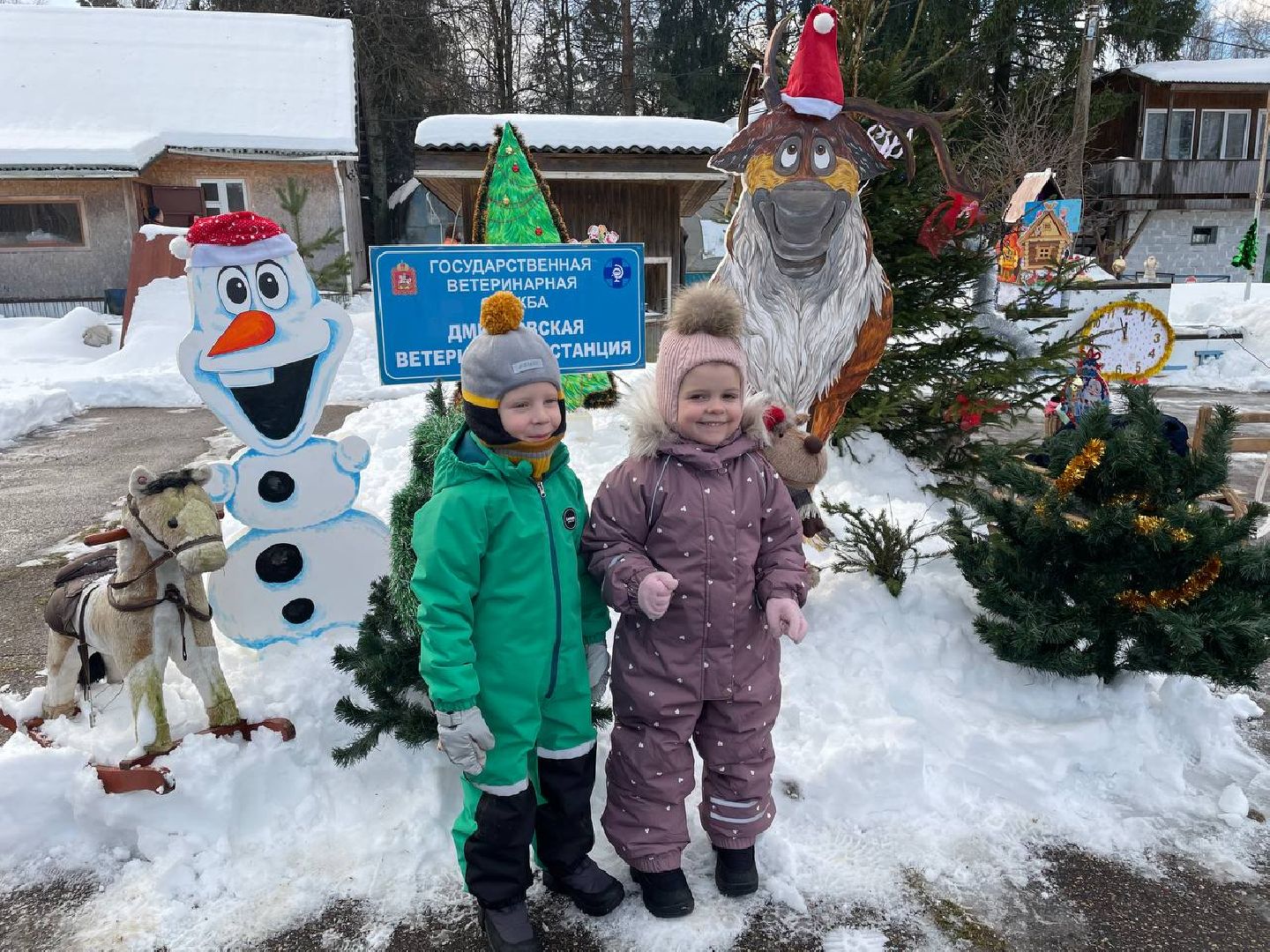 Дмитров, Госветстанция, Минсельхоз, вертикали