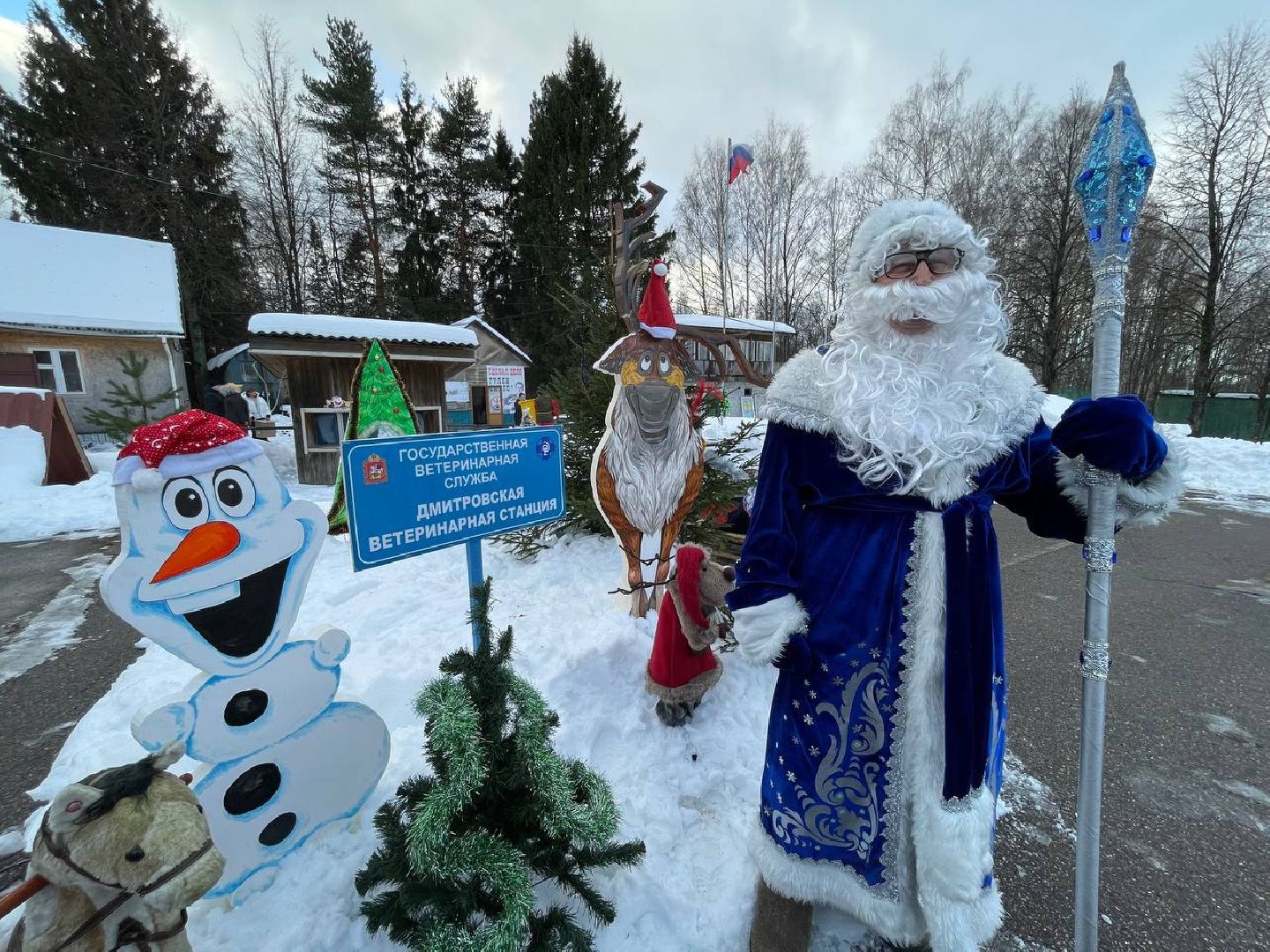 Дмитров, Госветстанция, Минсельхоз, вертикали
