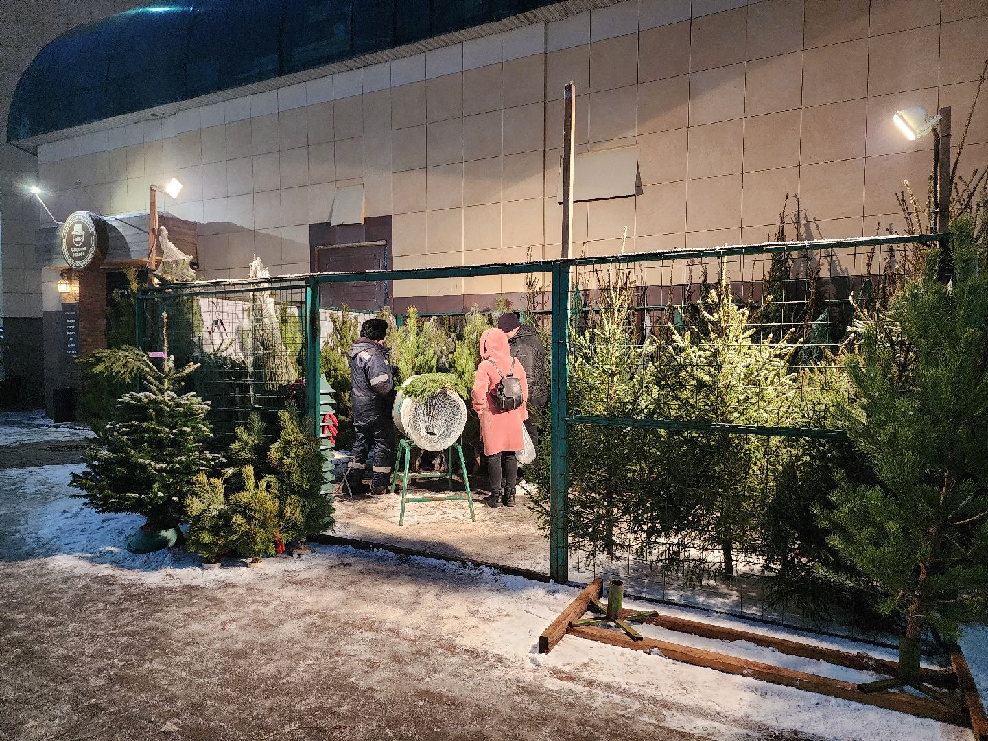 Коломна, елочный базар, новогодняя елка, зима в подмосковье,