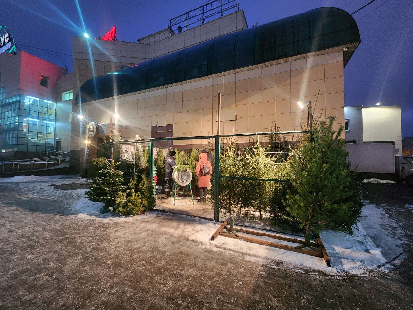 Коломна, елочный базар, новогодняя елка, зима в подмосковье,