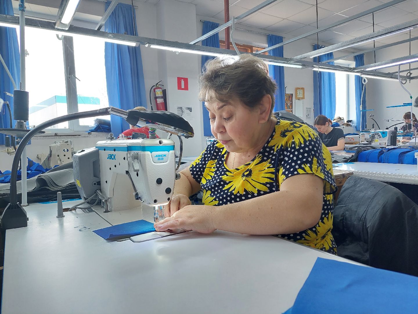 общество, предприятия, швейное дело