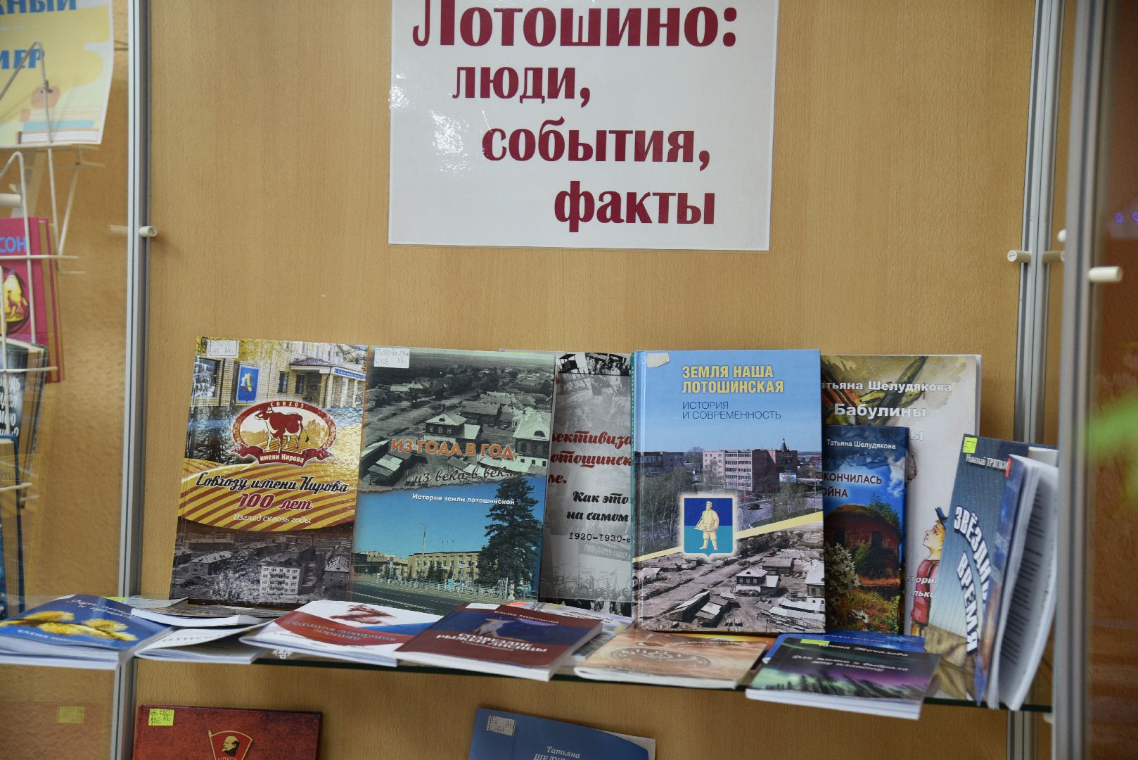 лотошино, культура, лотошинская библиотека, фонд президентских грантов, президентский фонд культурных инициатив,