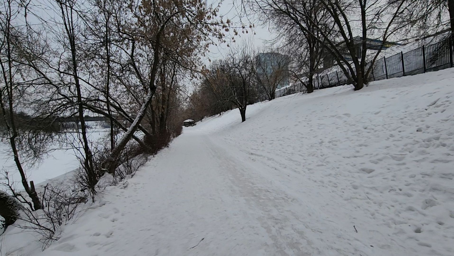 салют, фейверки, закон, вертикалки,