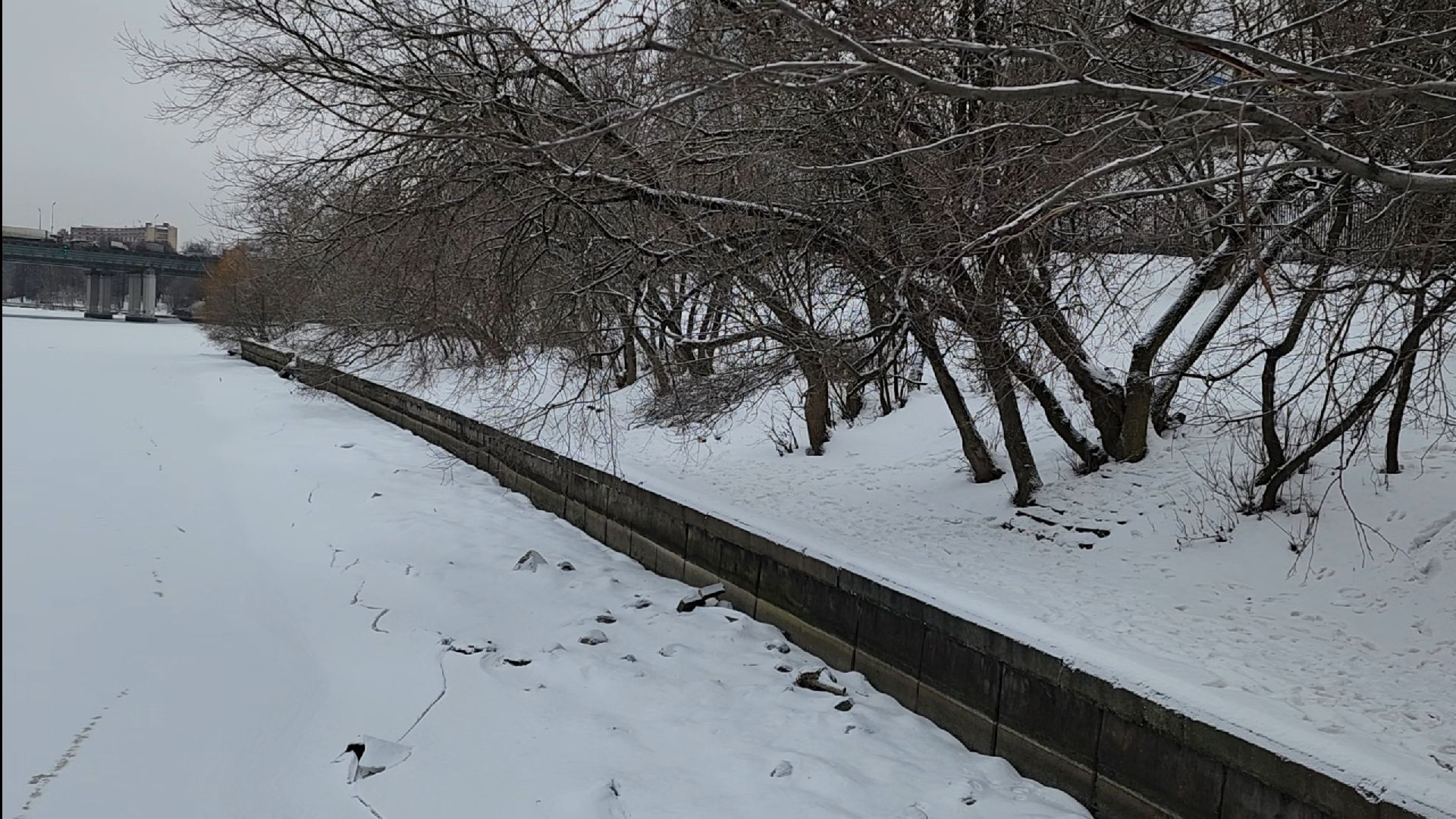 салют, фейверки, закон, вертикалки,